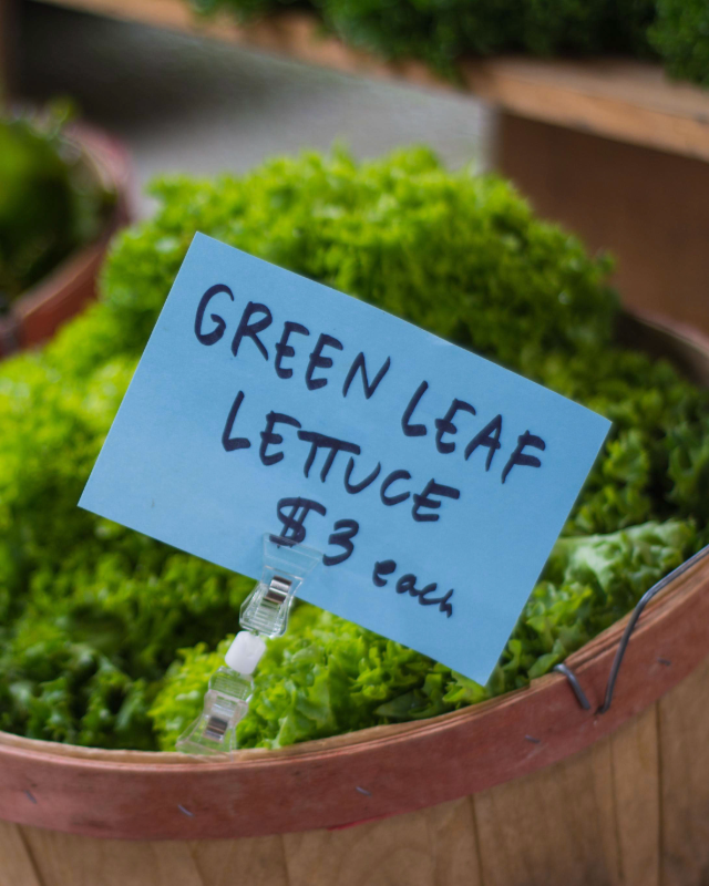 Lettuce