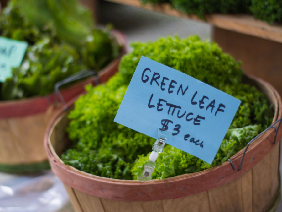 Concerned About Cyclospora? Check Out These NJ Farms for Local Produce