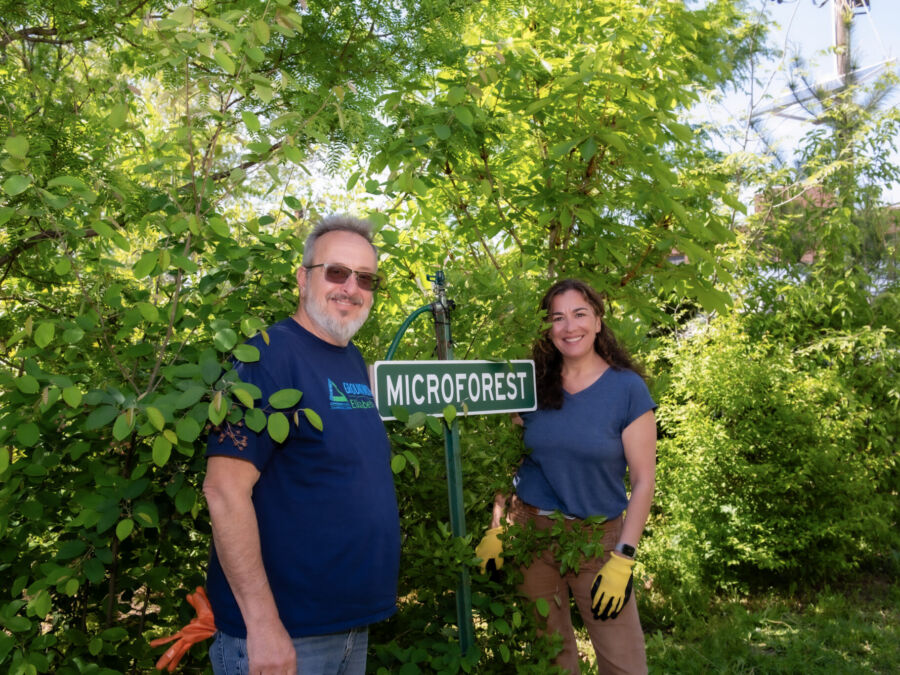A Look Inside New Jersey’s Tiny Forest Movement