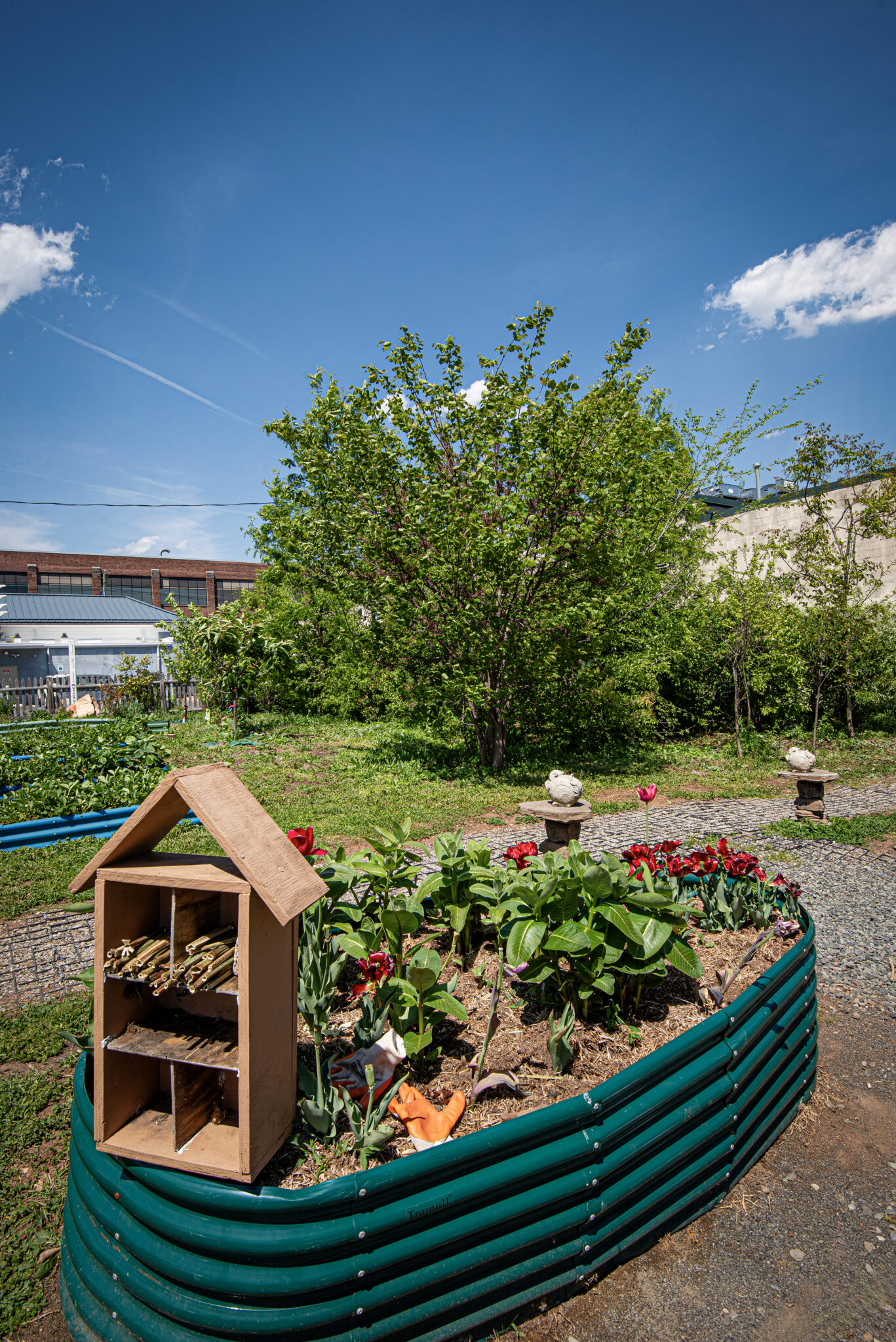 Elizabeth's tiny forest site also has a microfarm.