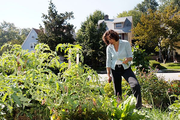 Turning Your Front Yard Into A Garden Www Njmonthly Com