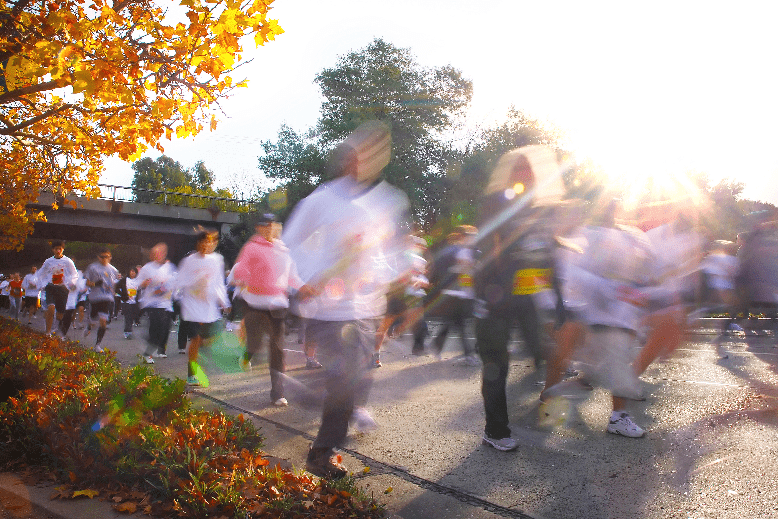 Runners amid fall foliage