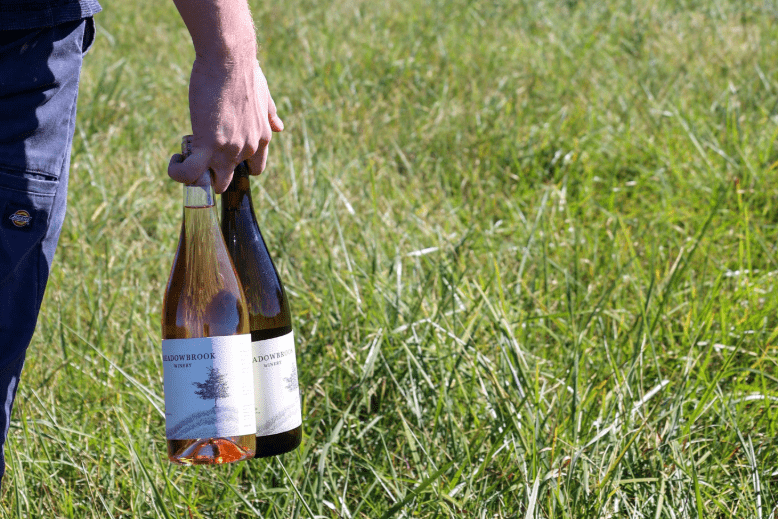 Person holding bottles of wine in field