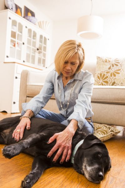 Marie Roberts says her dog Lilly has benefited from Reiki healing sessions..