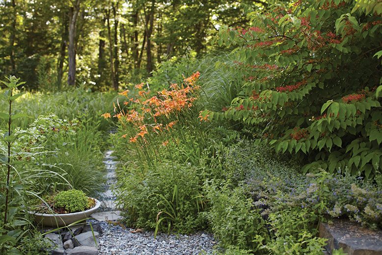 James Golden invites you to tour his native plants garden on October 10.