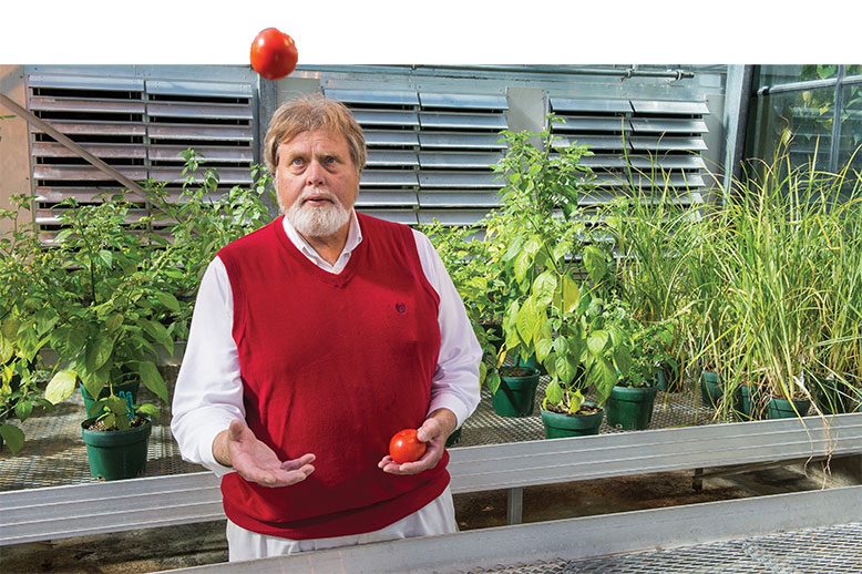 The new Rutgers tomato has a good balance of sweetness and tartness, and a slightly firm skin–as demonstrated by Thomas Orton, one of its creators.