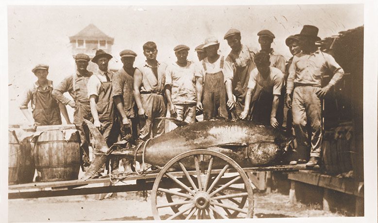 Workers for the Star Fish Company, a pound-fishing operation in Manasquan, admire a hefty catch in a photo dated June 20, 1923.
