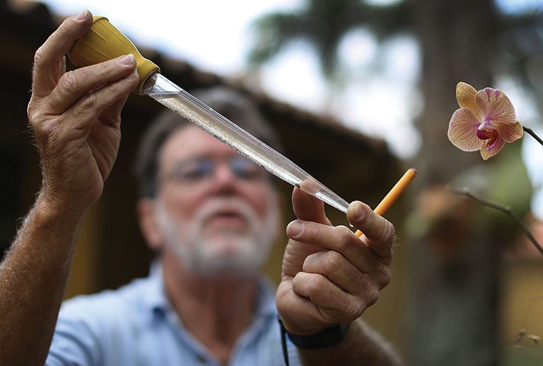 A scientist in Miami tests mosquito larvae for the Zika virus.