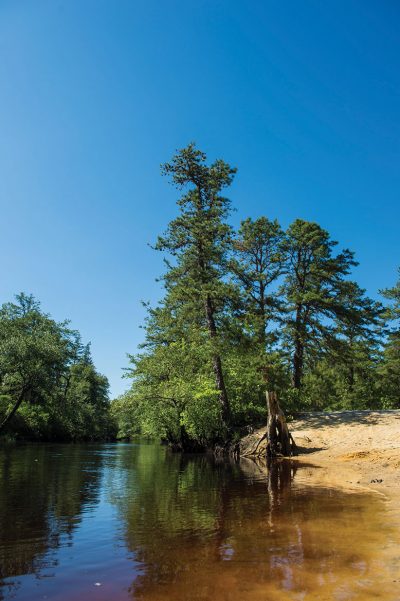 Wilderness walks near clearance me