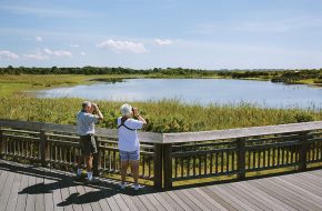 Ann and Noot Canoles of Timonium, Maryland, observe the abundance of avian species at the Cape May Hawk Watch.
