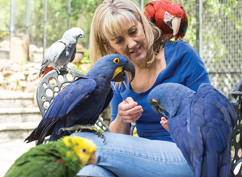 In her custom-built outdoor aviary, Bonnie Mano feeds some of her parrot flock. Clockwise, from top: Rico, Bentley, Frootloops, Dino and Rocky.
