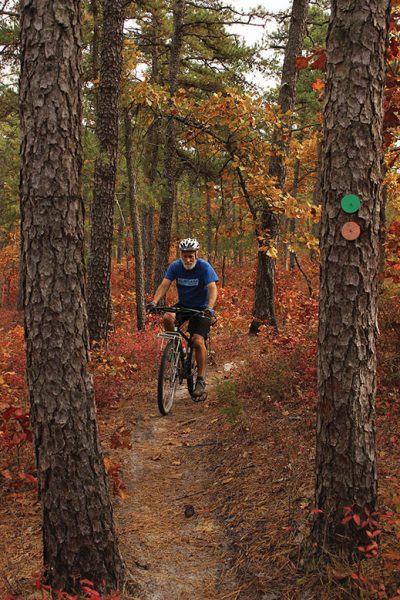 Navigating the twists and turns of Fire Tower Trail.