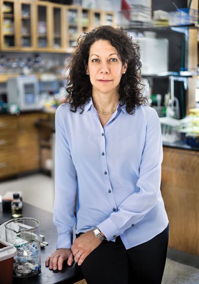 In her Princeton lab, Bonnie Bassler has identified “chemical words” that bacteria use to work on collective tasks, like launching an infection.
