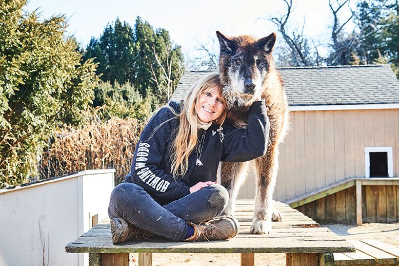 Samson, a popular resident of Howling Woods, enjoys the affection of handler Michelle Persiano. Samson is 25 percent wolf, mixed with malamute.