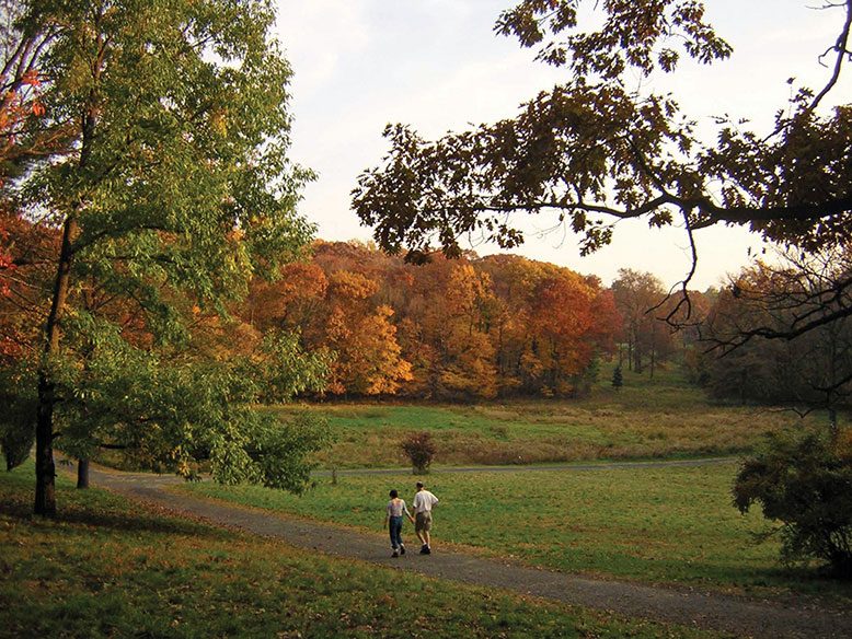 A couple strolls along one of the scenic paths at Frelinghuysen Arboretum in Morristown.