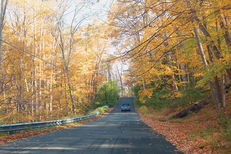 Old Mine Road is one of the most primitive paved stretches of New Jersey. Speed limits are slow, all the better to enjoy the scenery.