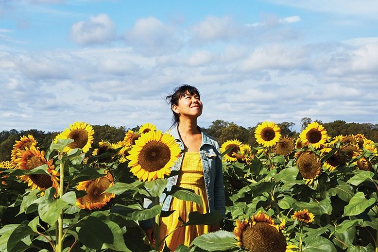 holland ridge farms sunflowers