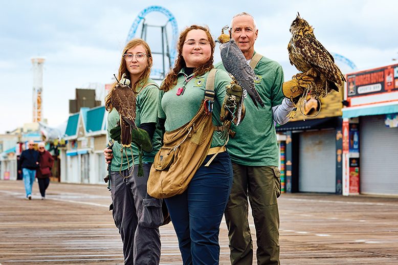 Team of falconers holding trained birds on boardwalk in Ocean City, NJ